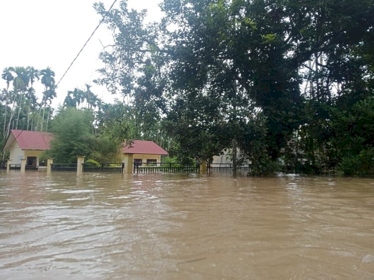 Banjir melanda di Aceh Timur/ist