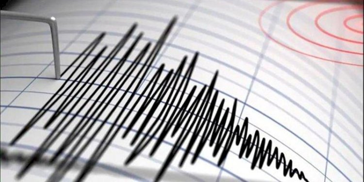 Ilustrasi Gempa (ist/net)