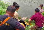 Satu Bulan Menghilang, Kakek Pencari Rumput di Musi Rawas Ditemukan Meninggal Dunia di Irigasi Lubuklinggau