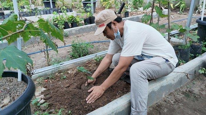 Petni di Kabupaten PALI kesulitan mendapatkan pupuk subsidi/ist