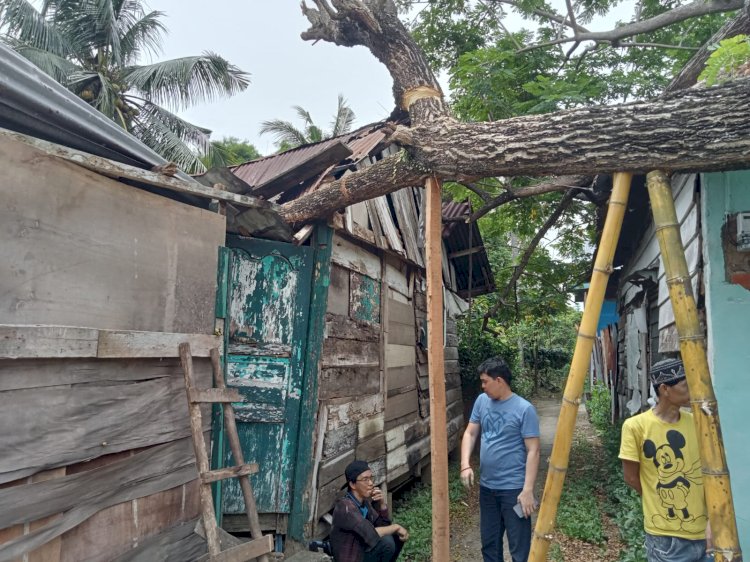 Pohon tumbang yang menimpa rumah warga sejak dua pekan lalu tak kunjung dievakuasi/Fauzi.