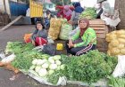 Harga Sayur di Pagaralam Anjlok, Petani Merugi hingga Belasan Juta