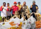 PMI Siapkan Pengolahan Jagung Hasil Panen Petani Papua