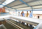 Air Sungai Musi Keruh Bercampur Lumpur, PDAM Tirta Randik Kesulitan Bahan Baku