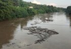 Dampak Banjir di Hulu Sungai, Air Baku PDAM Tirta Musi jadi Keruh