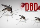 DBD Mengintai Kesehatan Warga PALI, Masyarakat Diminta Galakkan 3M