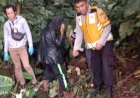 Warga Dempo Utara Dikejutkan Penemuan Mayat Tanpa Identitas