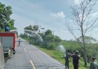 Halau Kerbau Masuk Jalan Lintas, Pol-PP Semprotkan Mobil Damkar