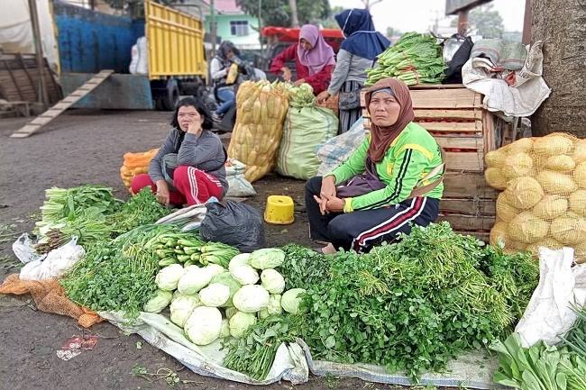 Pedagang sayuran di kota Pagaralam, Sumatera Selatan mengeluh setelah harga anjlok di bawah pasaran. Akibatnya, para petani pun mengalami kerugian hingga belasan juta. (Taufik Hidayat/RmolSumsel.id)