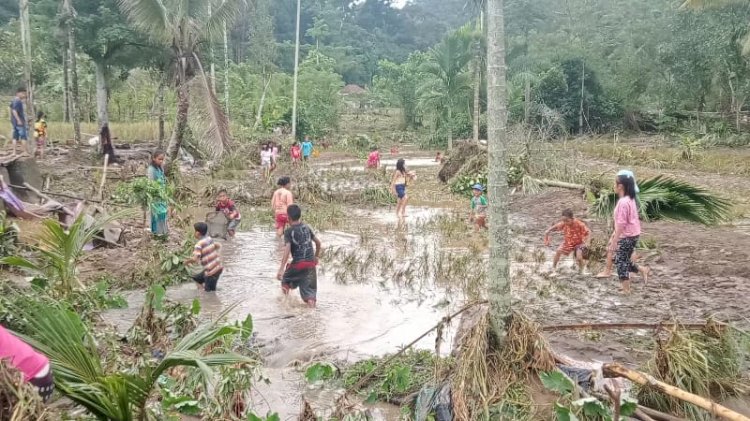 Banjir bandang merendam puluhan hektar sawah di desa Lubuk Nipis Kabupaten Muara Enim/Foto:Noviansyah
