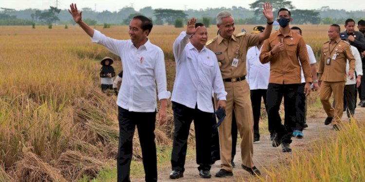 Jokowi bersama Prabowo Subianto dan Ganjar Pranowo saat Panen Raya di Desa Lejer, Kecamatan Ambal, Kebumen, Jawa Tengah, Kamis (9/3)/Net