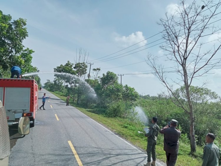 Mobil damkar menghalau kerbau yang masuk ke jalan lintas dengan menemprotkan air. (ist/RmolSumsel.id)