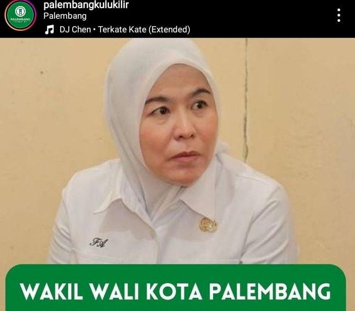 Wakil Walikota Palembang Fitrianti Agustinda /repro