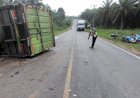 Satu Warga Jambi Tewas Kecelakaan di Musi Banyuasin, Begini Kronologinya