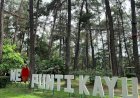 Ratusan Warga Serbu Taman Wisata Alam Punti Kayu di Hari Lebaran