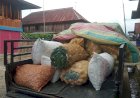 Harga Sayur di Muara Enim Turun Drastis Usai Lebaran, Petani Mengeluh