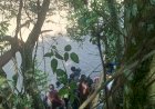 Mini Bus Terjun Bebas ke Sungai Komering, Dua Penumpang Meninggal Dunia