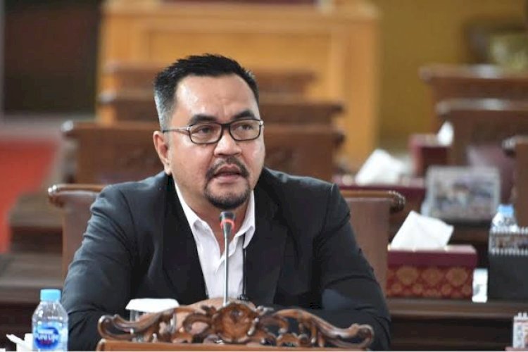 Sekretaris Komisi V DPRD Sumsel, David Hadrianto Al Jufri/ist.