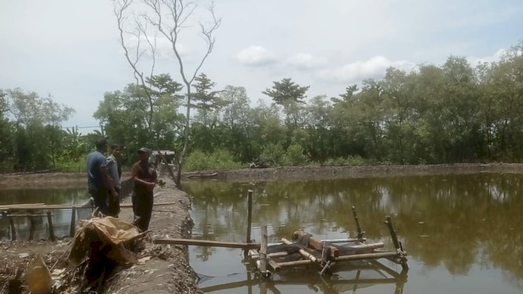 Tambak di tengah hutan mangrove pesisir Bandar Lampung. ( Ahmad Amri/ RmolLampung)