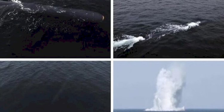 Kumpulan foto uji coba drone bawah air bertanaga nuklir milik Korea Utara pada 4 hingga 7 April 2023/Net