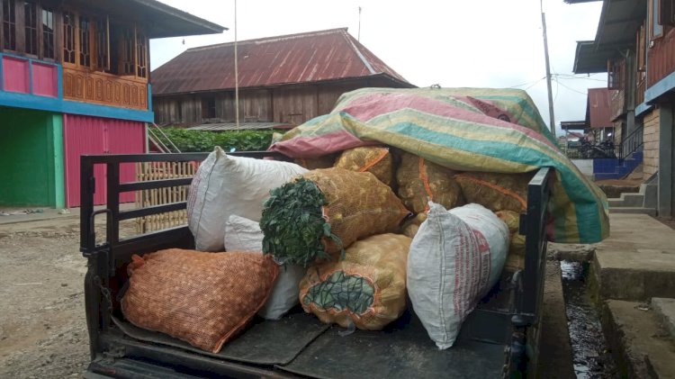 Karung berisi sayuran di Muara Enim dari petani. Sejak selesai Ramadhan, harga sayur di lokasi itu mengalami penurunan drastis. (Novianysah/RmolSumsel.id)