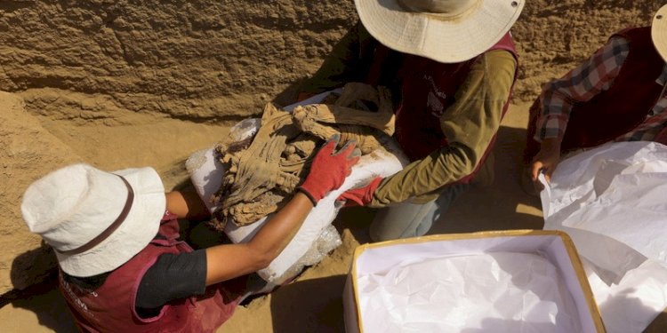 Para arkeolog membungkus sisa-sisa kerangka dan bagian dari bungkusan mumi yang ditemukan di reruntuhan Cajarmarquilla, di pinggiran Lima, Peru pada Senin, 24 April 2023/Net