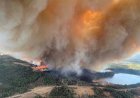 Hutan Kebakaran, 13.000 Penduduk Kanada Dievakuasi