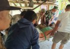 Pasal Telur Ayam, Anak Kandung Aniaya Bapak hingga Tewas