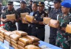 Tergiur Upah Besar, Oknum TNI Nyambi Jadi Kurir Ganja 52 Kilogram