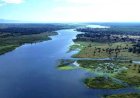 Kuda Nil Seruduk Kapal Penumpang, 30 Penduduk Tenggelam di Sungai Shire
