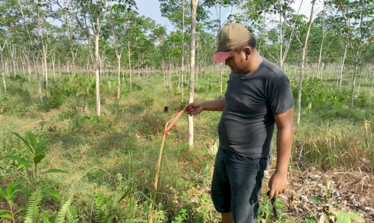 Salah satu warga yang lahanya dilalui kegiatan seismik/Foto:Eko Jurianto