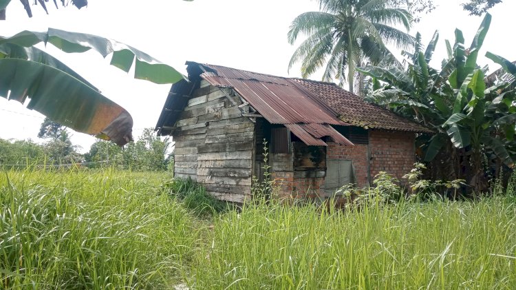 Rumah kediaman Erlan semasa kecil bersama kedua orang tuanya, di Kampung 7 Trans Sosial Desa Karang Raja Kecamatan Muara Enim (Noviansyah/rmolsumsel.id)