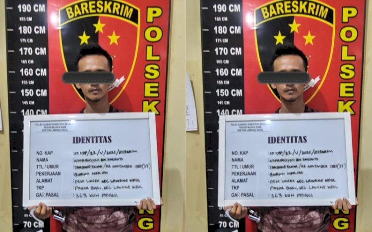 DPO tindak pidana pencurian diamankan Polsek Lawang Kidul Muara Enim (ist/RmolSumsel.id)