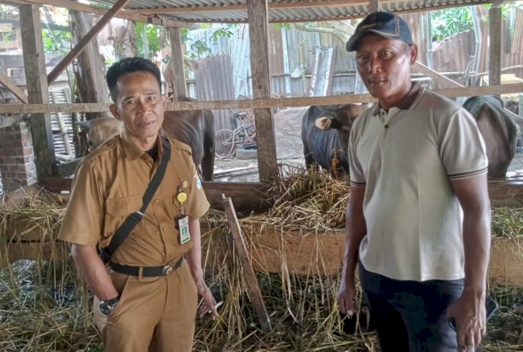 Petugas bidang peternakan Dinas Pertanian Lubuklinggau mulai turun melakukan pendataan dan pengeceken kesehatan hewan kurban ke pengepul maupun pedagang/ist