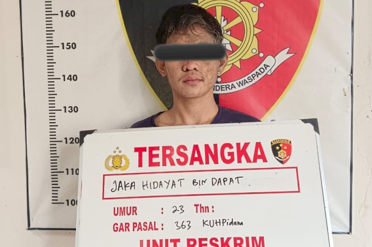 Pelaku Curat berhasil dibekuk Polsek Sungai Rotan/ist