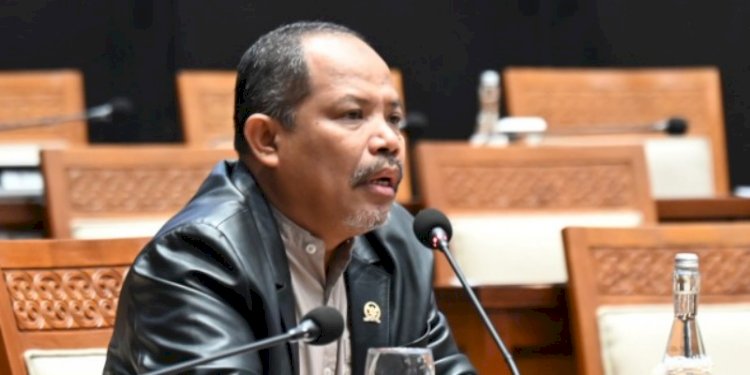 Anggota Komisi IV DPR RI Johan Rosihan. (ist/rmolsumsel.id) 