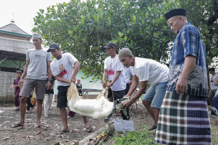 Orang Muda Ganjar meriahkan kurban untuk warga desa di Muaro Jambi/ist