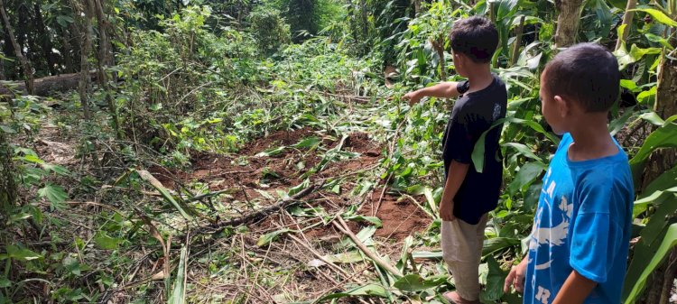 Warga memperlihatkan tempat menguburkan beruang liar yang masuk pemukiman/ist