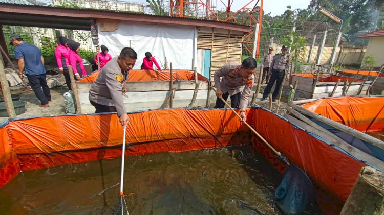 Panen Ikan Lele di Polsek Tebing Tinggi/ist