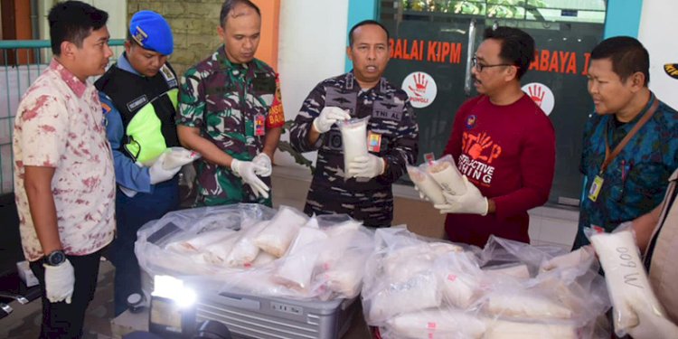 Barang bukti benih bening lobster yang digagalkan oleh TNI AL/Ist