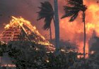 Kebakaran Hutan di Hawaii: 80 Orang Tewas, 2.200 Bangunan Hangus
