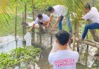 Pemuda Mahasiswa Nusantara Ajak Milenial Latih Budi Daya Ikan Lele di Palembang 