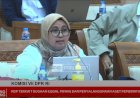 Lana Saria Salahkan Pemda Tak Lapor Soal RMK dan TBBE, Dinas ESDM Sumsel: Itu Bukan Kewenangan Kami, Sudah Ada Inspektur Tambang!