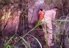 Hutan di Lereng Gunung Lawu Terbakar, Pemadaman Masih Dilakukan Manual