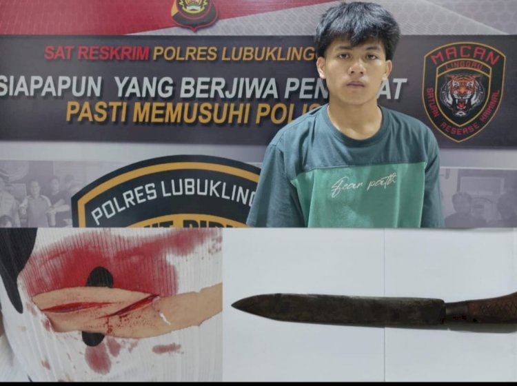 Di Lubuklinggau, Kakak Dianiaya Adik Kandung Pakai Pisau Gegara Uang Rp100 Ribu.(foto Istimewa)