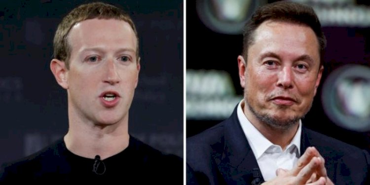 Mark Zuckerberg dan Elon Musk/ist