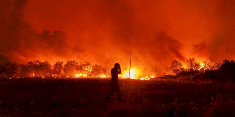 Hutan terbakar di desa Avantas, dekat Alexandroupolis/Net