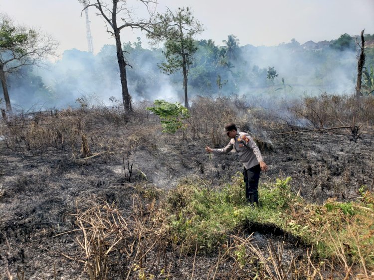 Kebakaran lahan milik pesantren modern di Baturaja terbakar/Foto:Amizon