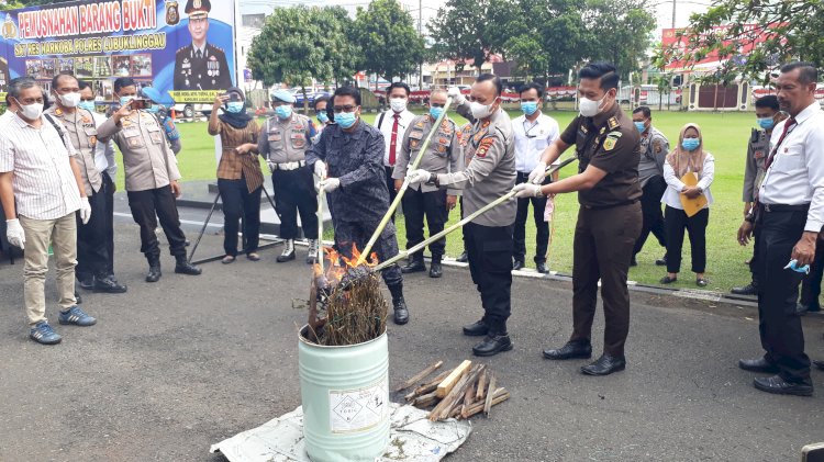 Polres Lubuklinggau Musnahkan Ganja 3 Kilogram, Kurir Asal Empat Lawang Ditangkap.(foto Istimewa)