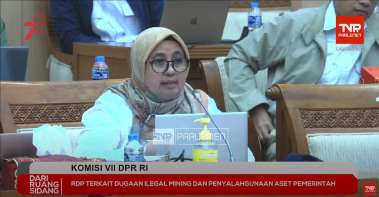 Direktur Pembinaan Pengusahaan Batubara, Lana Saria. (tangkapan layar tvparlemen)